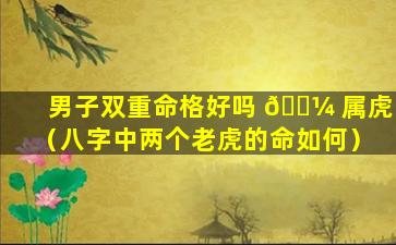 男子双重命格好吗 🐼 属虎（八字中两个老虎的命如何）